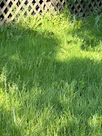 35 acres of long grass and weeds.