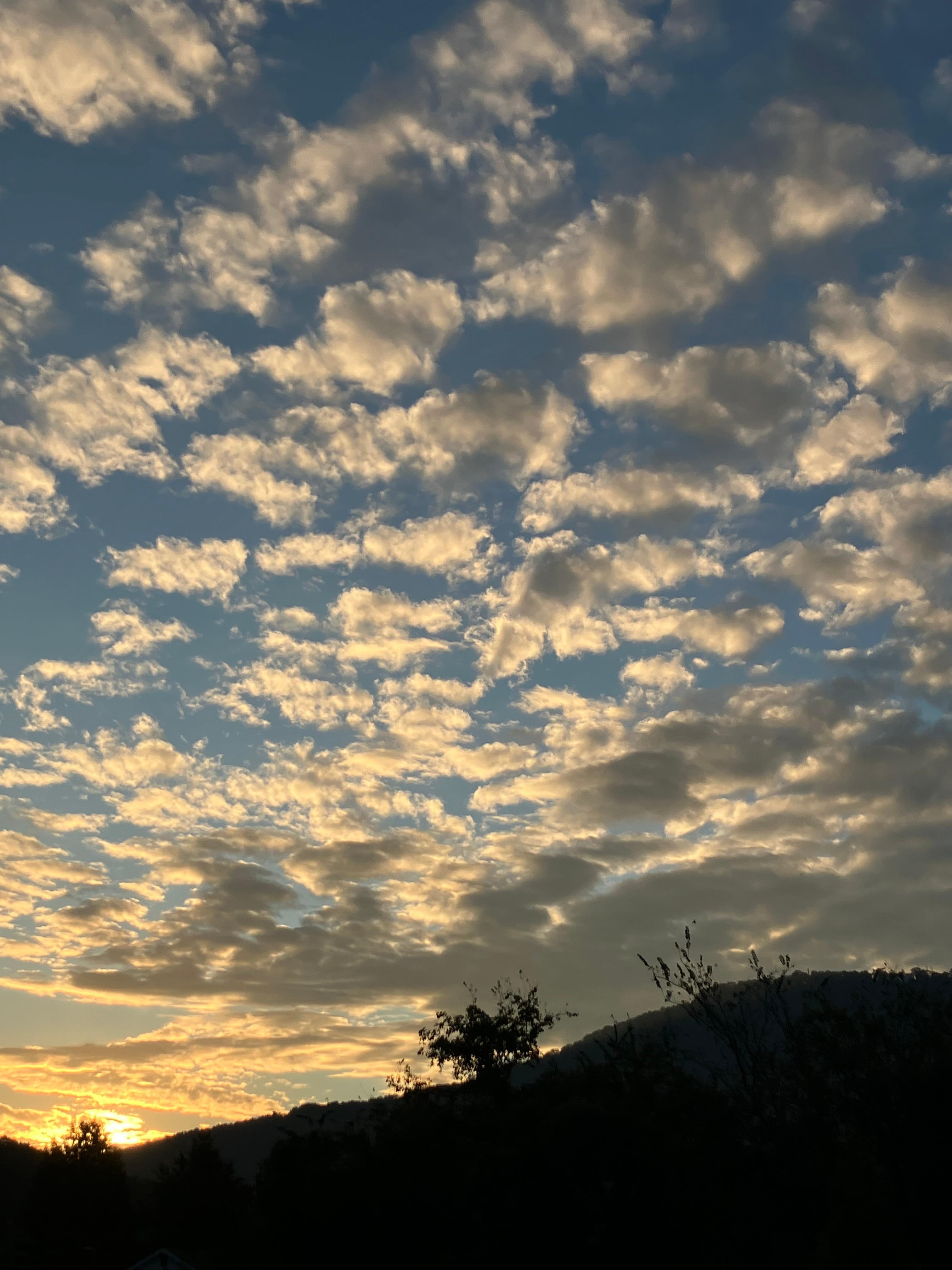 Morning sunrise from the back deck! 