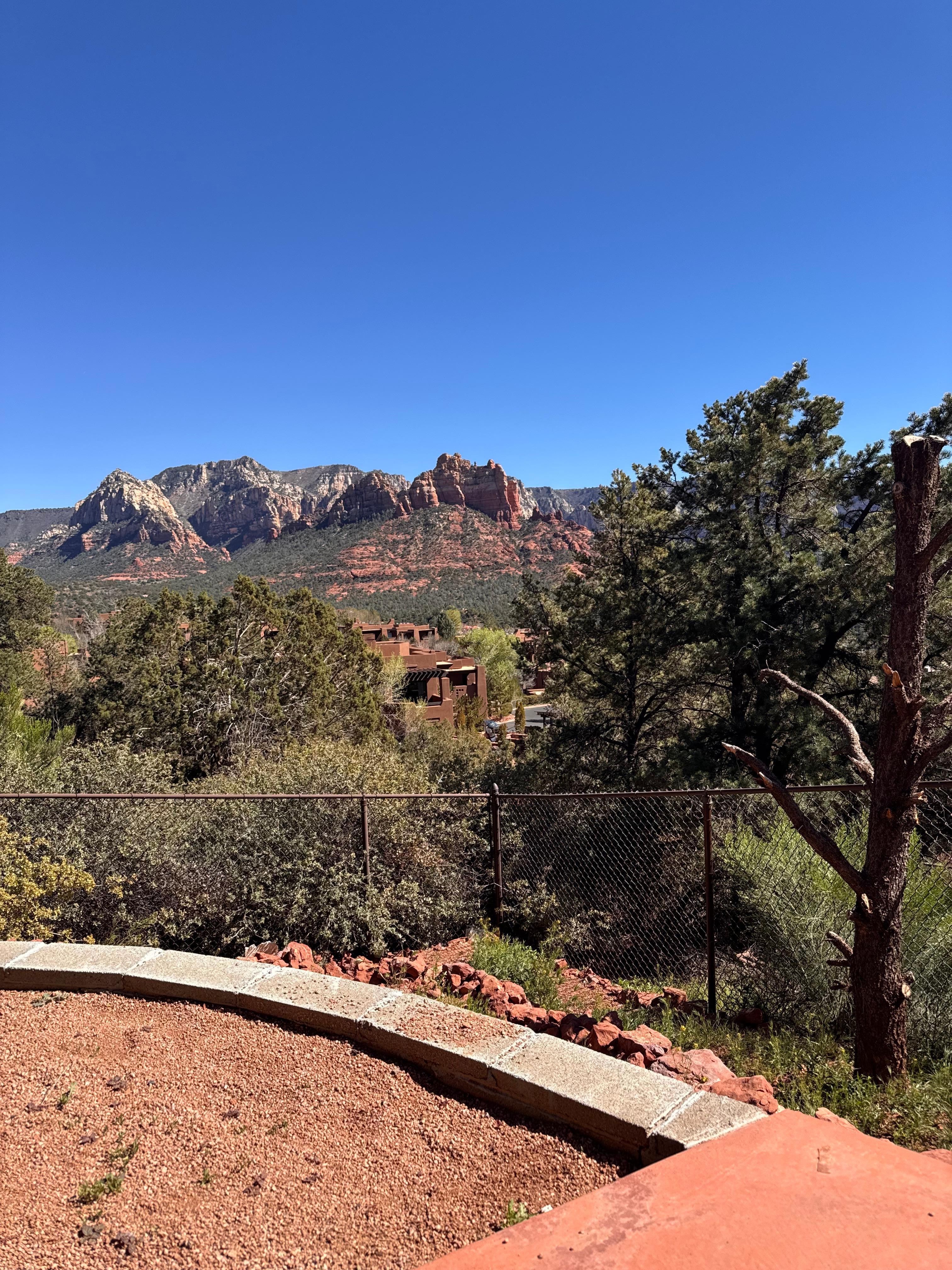 View from hot tub during the day