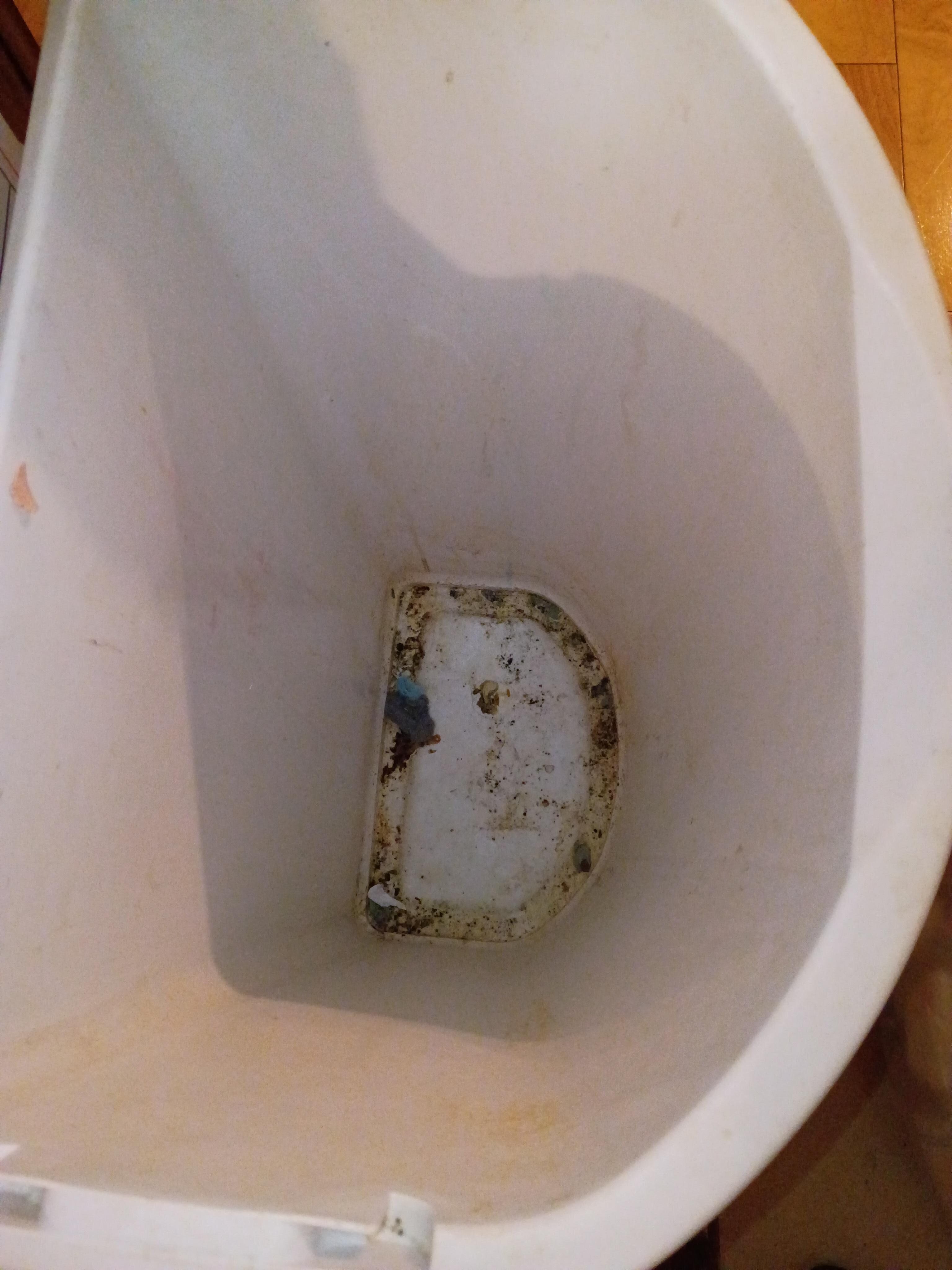 mold and dirt in the trash can yuck! My grandson's feet were black within minutes of running around.