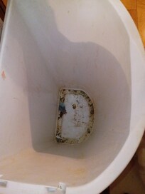 mold and dirt in the trash can yuck! My grandson's feet were black within minutes of running around.