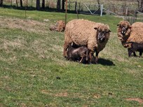 Nature as far as you can see