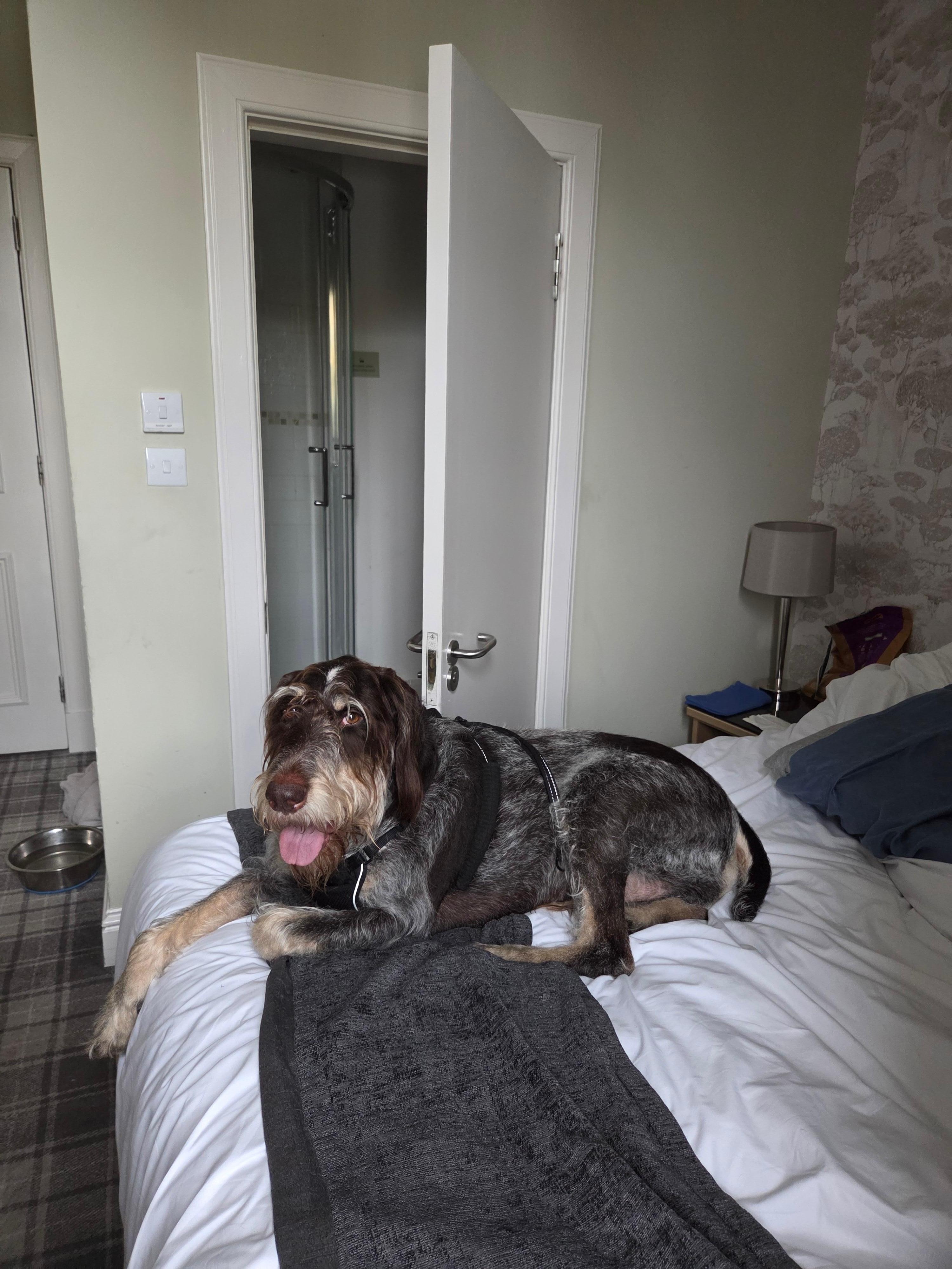 Sas! Loved the room 😍 