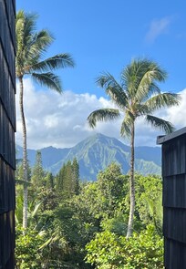 View from kitchen window