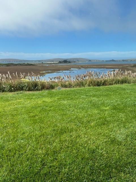 View from The Drake at lunchtime 