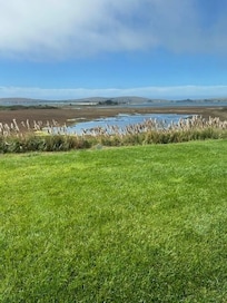 View from The Drake at lunchtime
