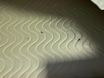 Between the mattress