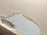 The wall had holes in it, roaches were coming out of the holes in the walls.