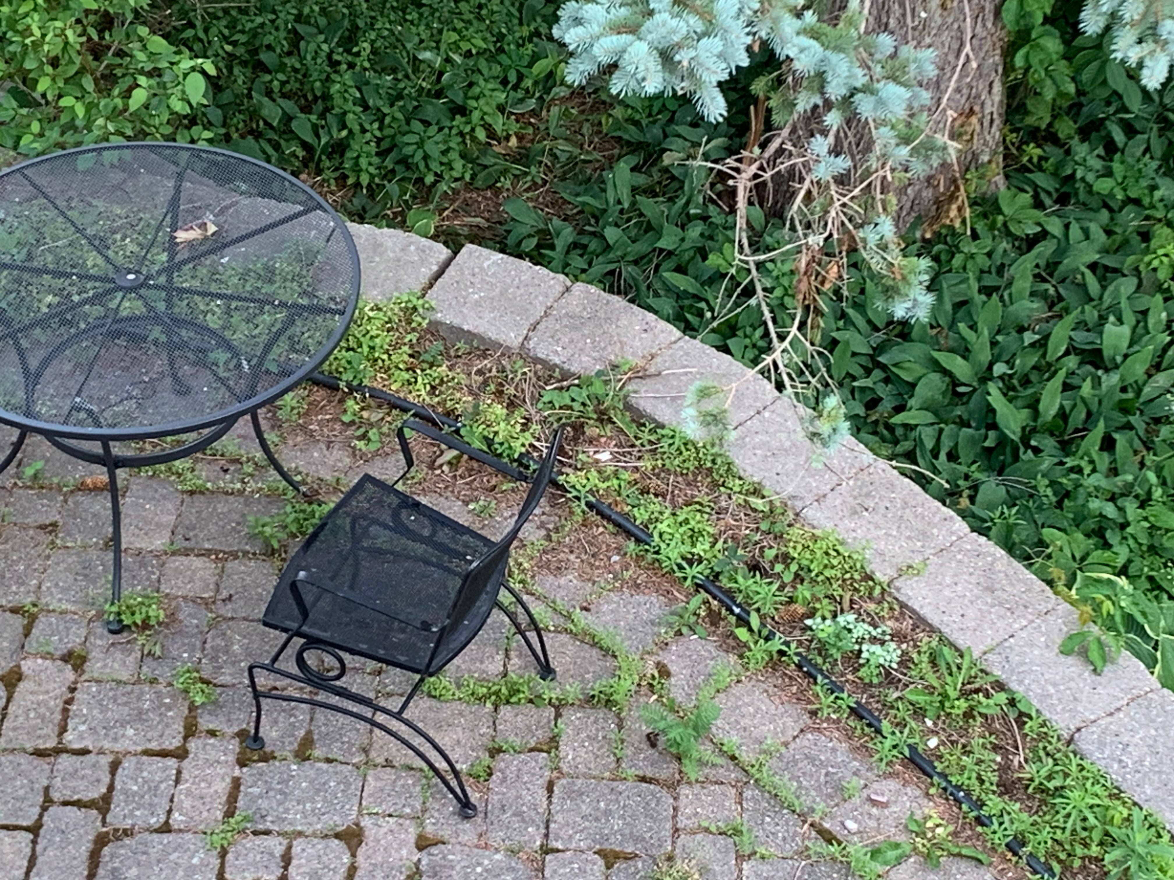 Front porch area is attractive but lots of weeds