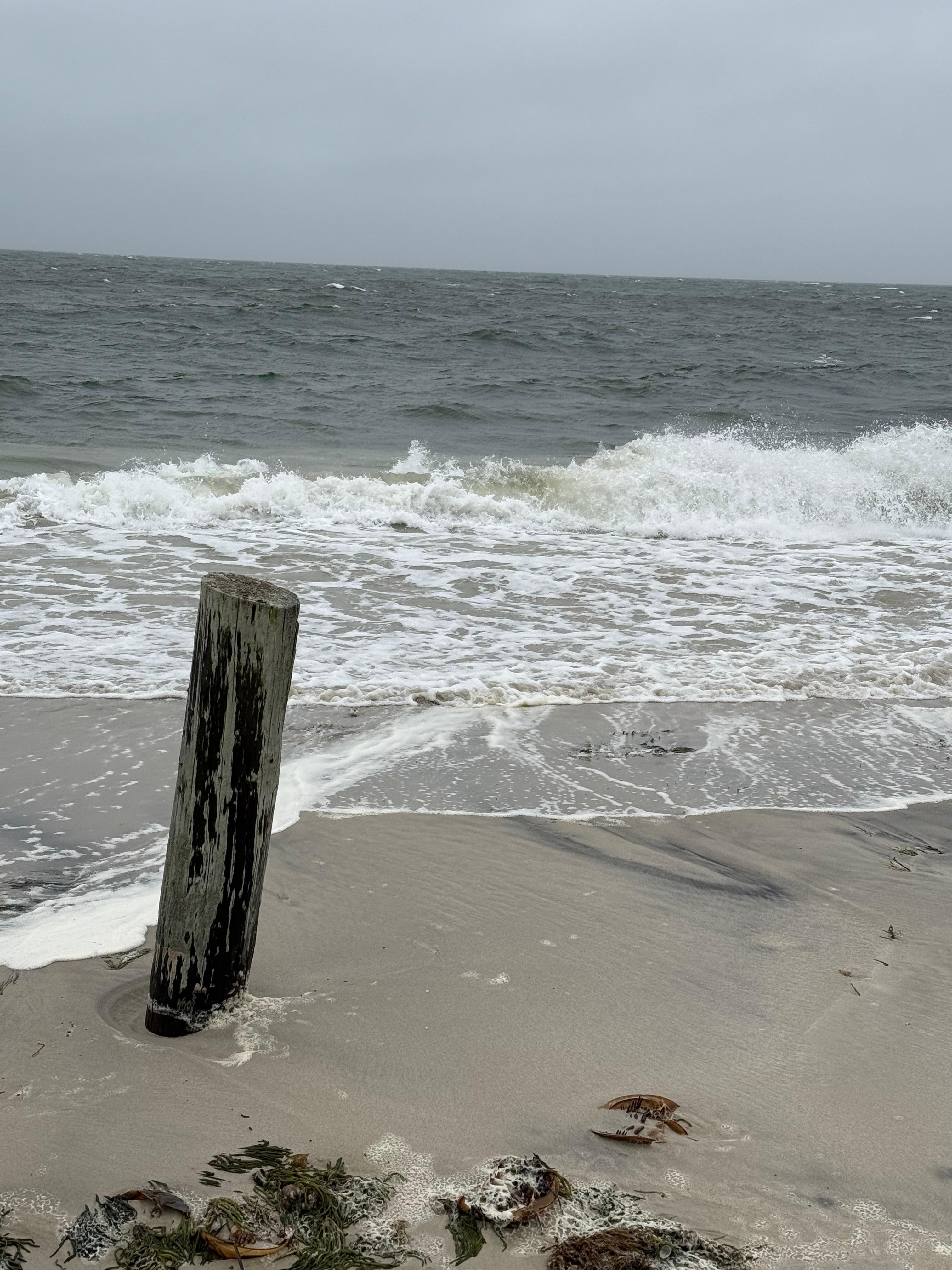 A picture taken from the cottage.