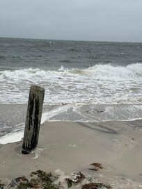 A picture taken from the cottage.
