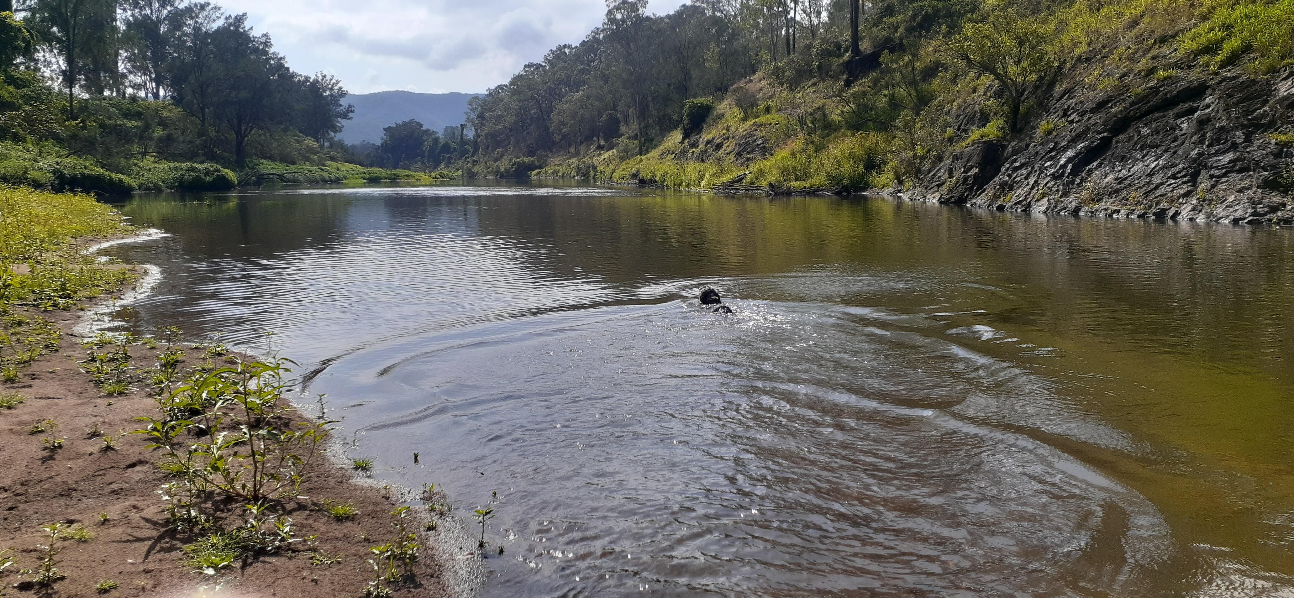 Mary River at your doorstep.