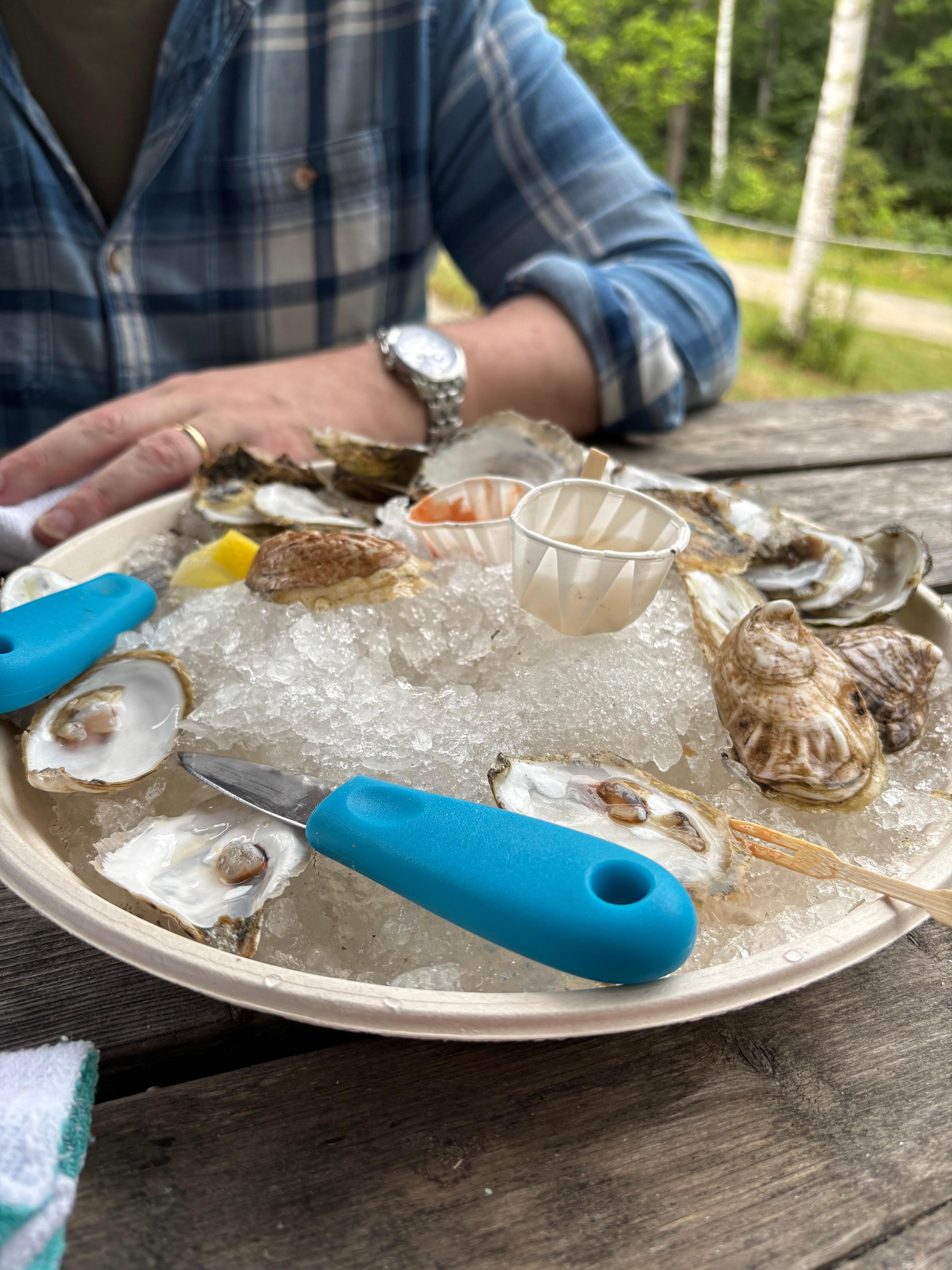 Oysters at Glidden Point Oyster Farm