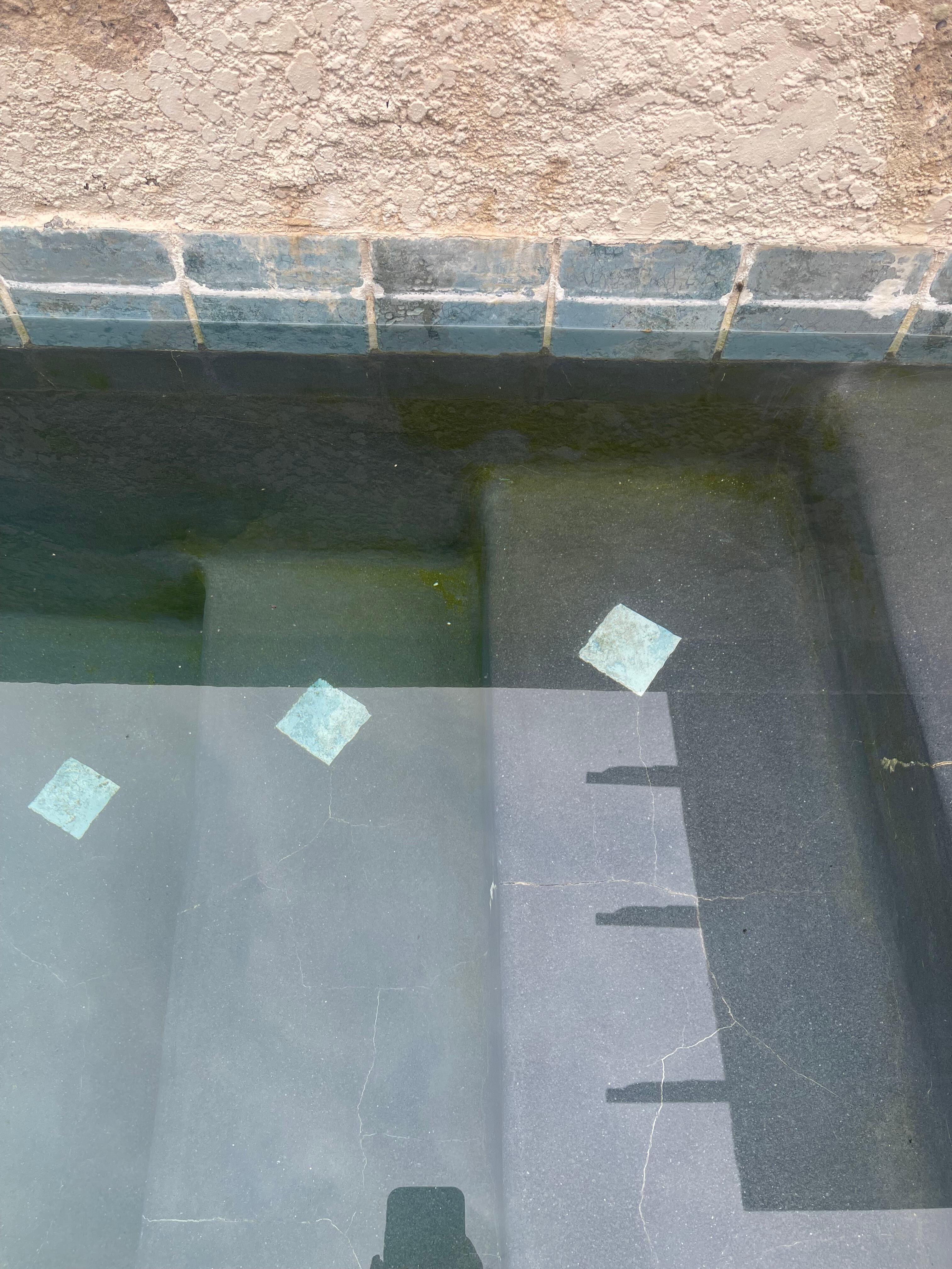 Algae along the steps into the pool