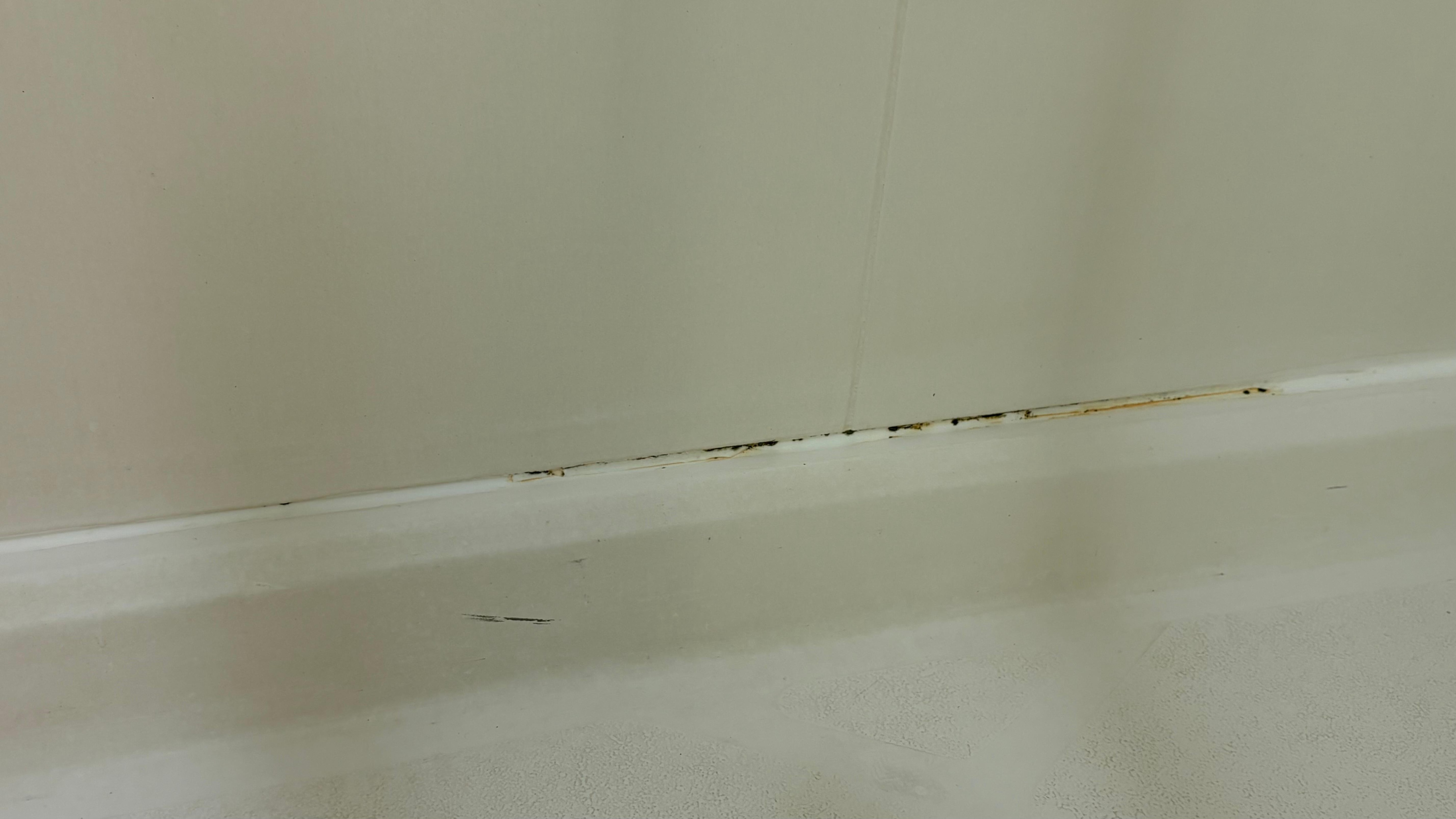Black mold in shower