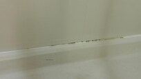 Black mold in shower