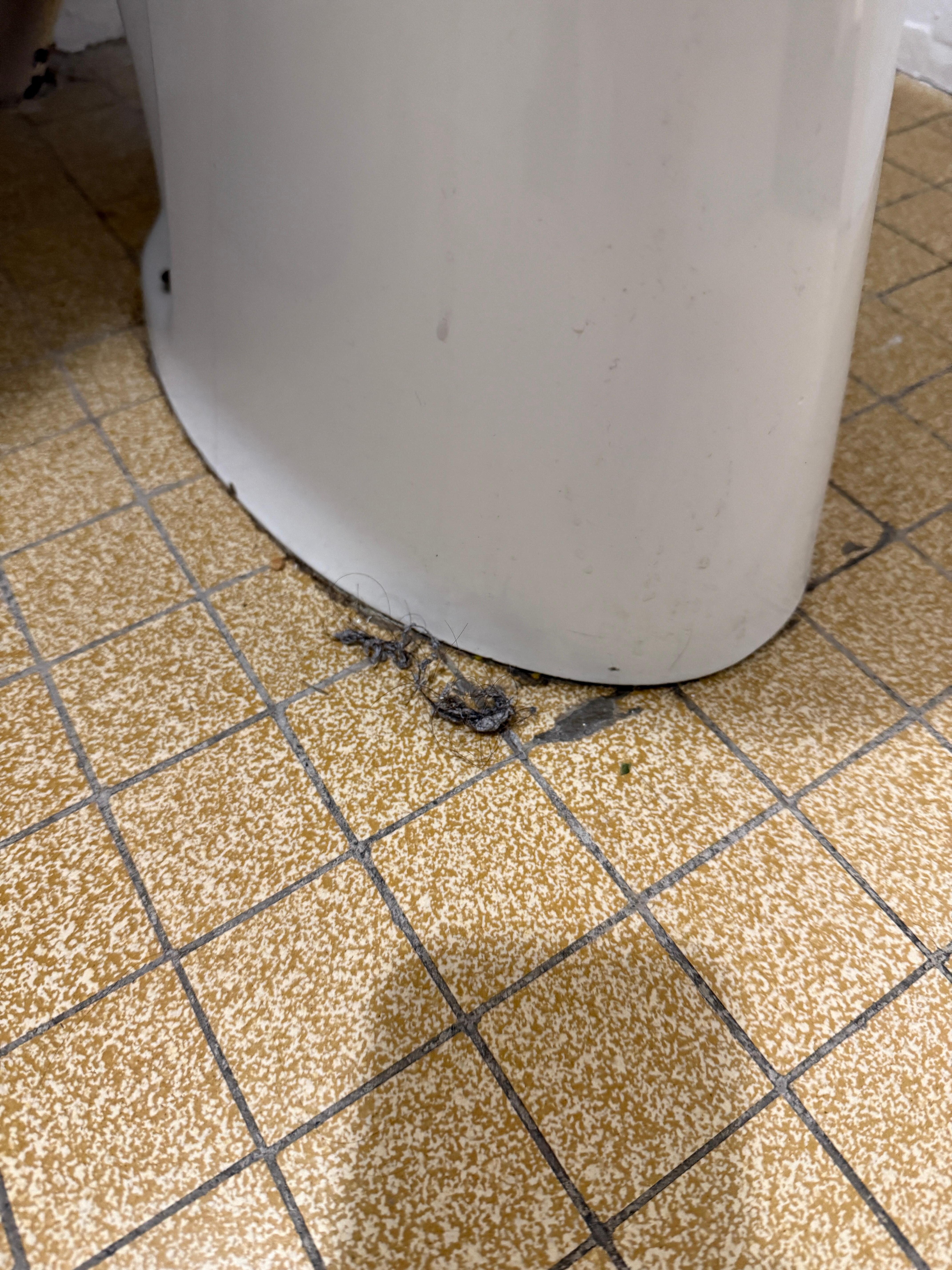 Gobs of hair on the bathroom floor greeted me upon check-in. 