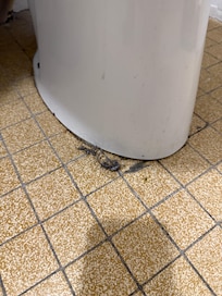 Gobs of hair on the bathroom floor greeted me upon check-in.