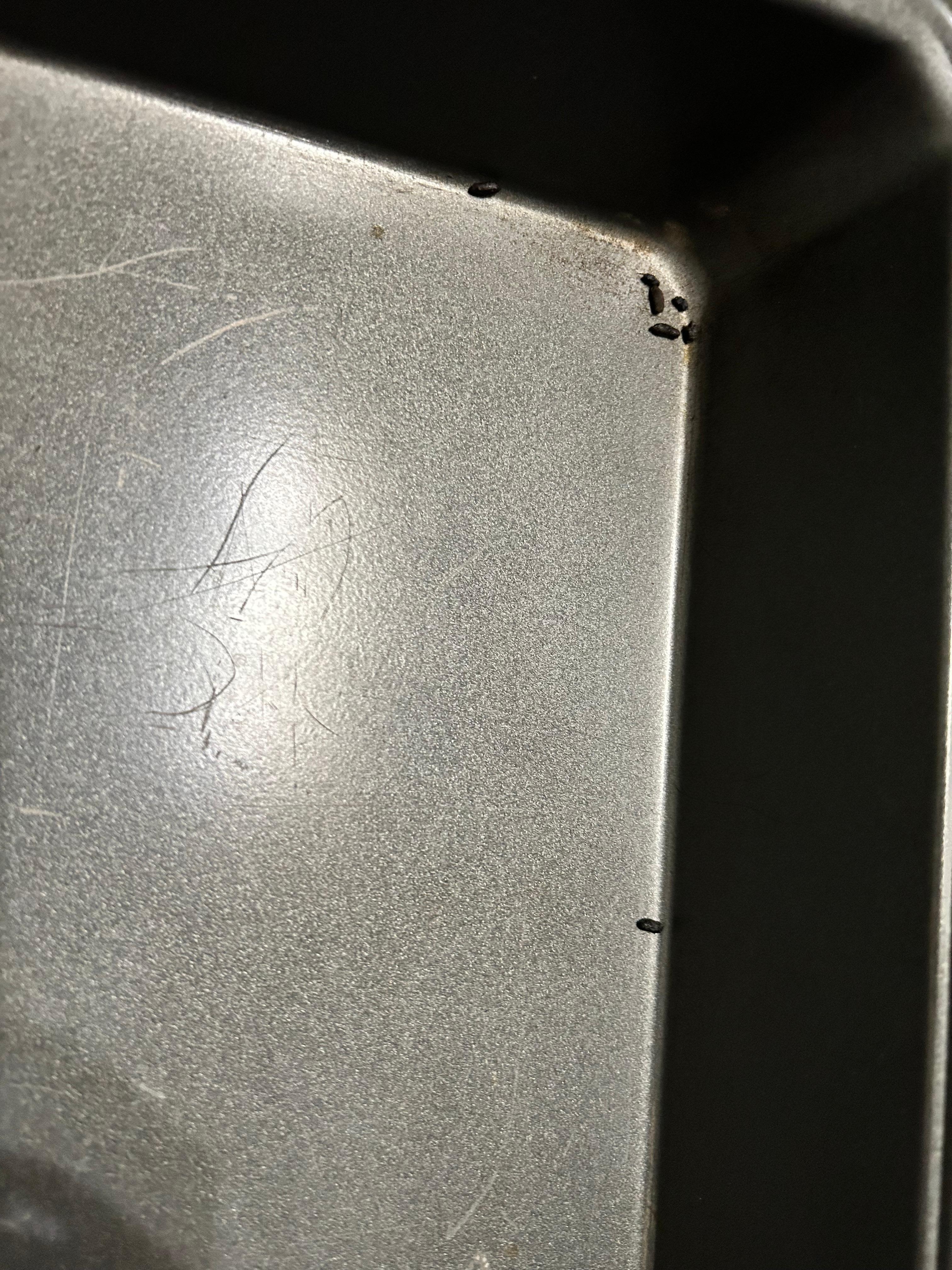 Mouse dropping in Kitchen pan.