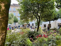 Beautiful little parks abound in the city centre.
