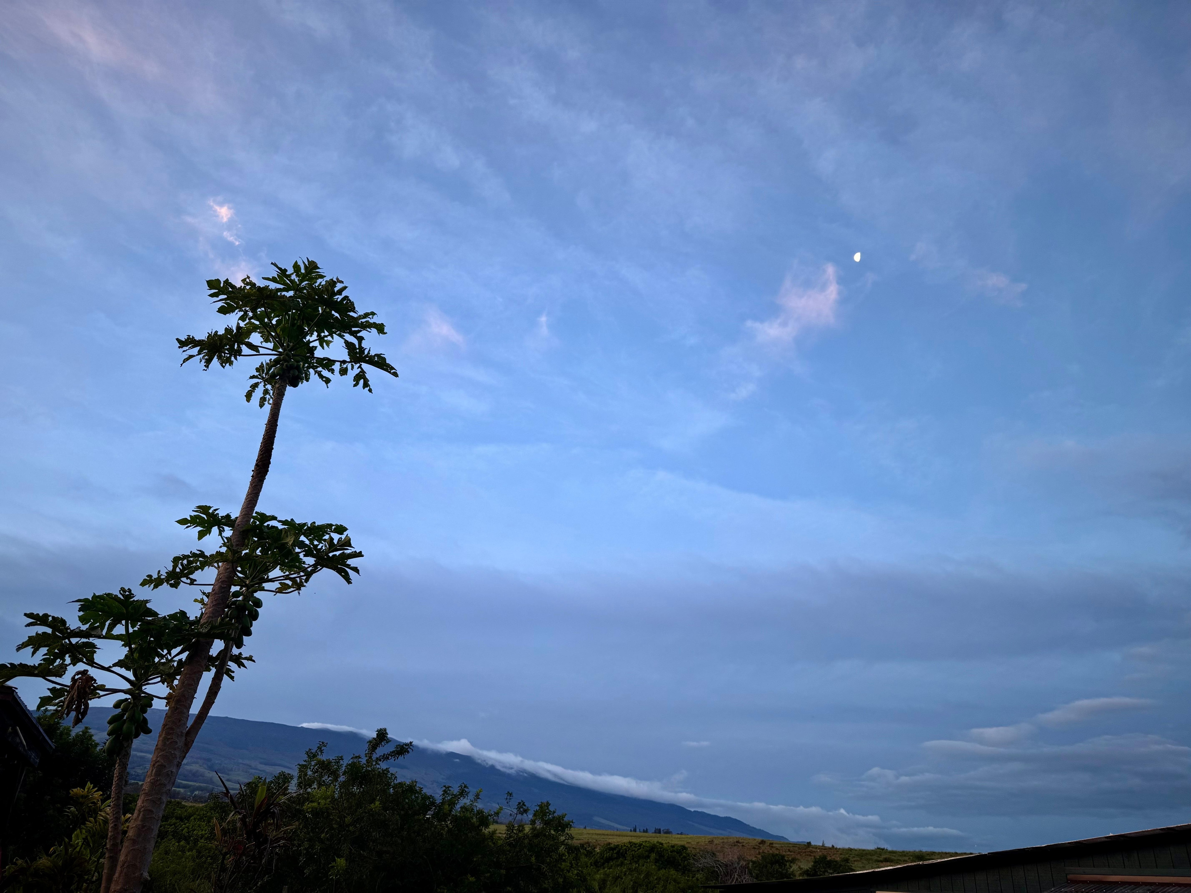 The pictures are the views from the front and backyard 