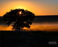Tallgrass Prairie at sunrise