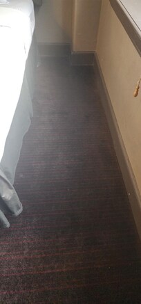 carpet mold