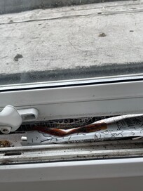 Rubbish outside window