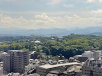 ロビーからの眺め