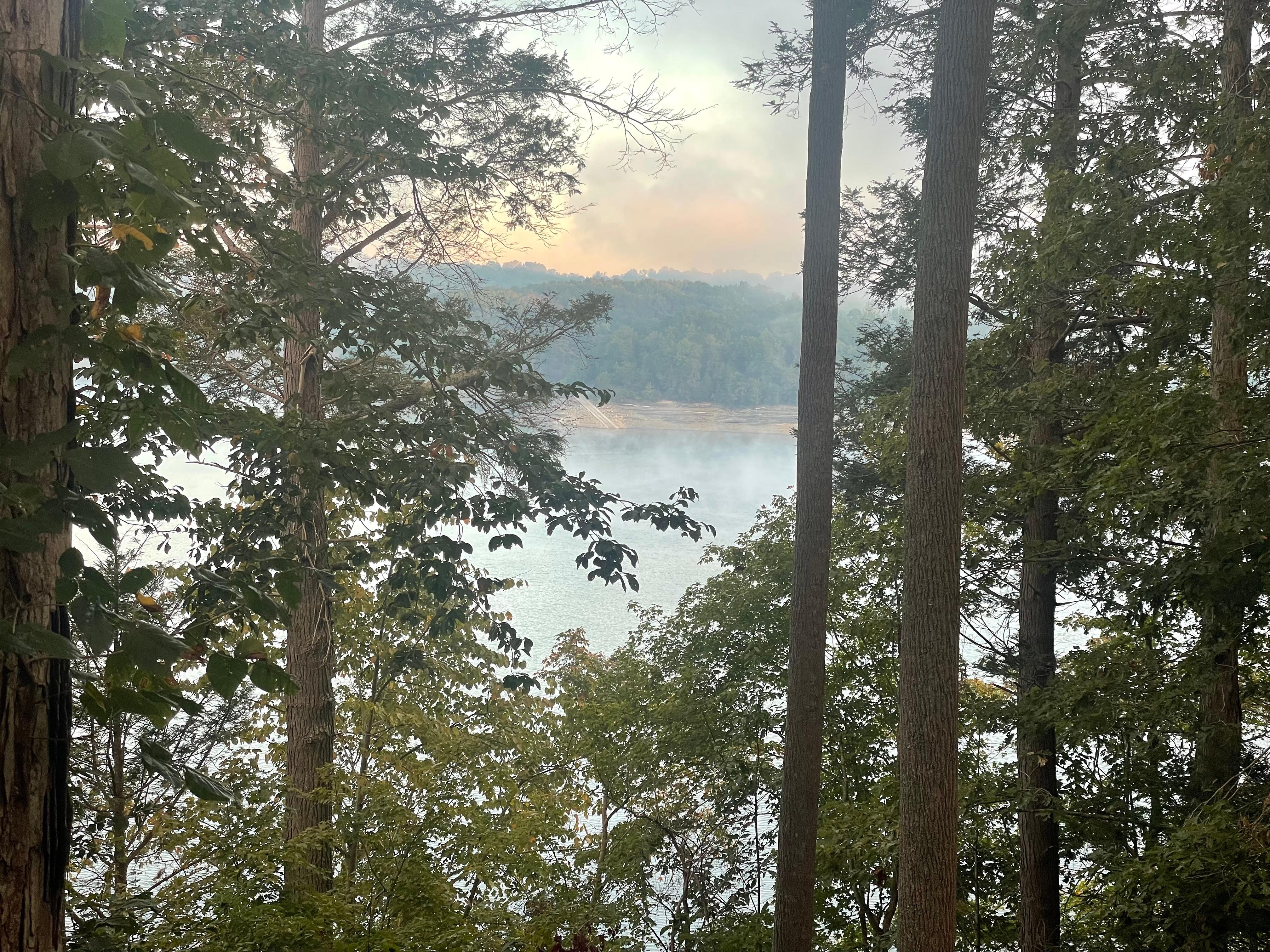 Morning mist, hot coffee ☕️ 