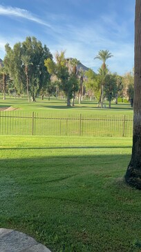 Room view