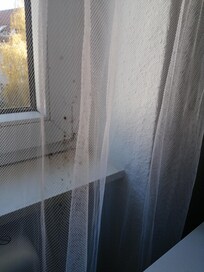 Flecken in der Gardine.