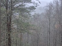 Scenery with snow