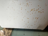 Intentionally splattered by previous guests?