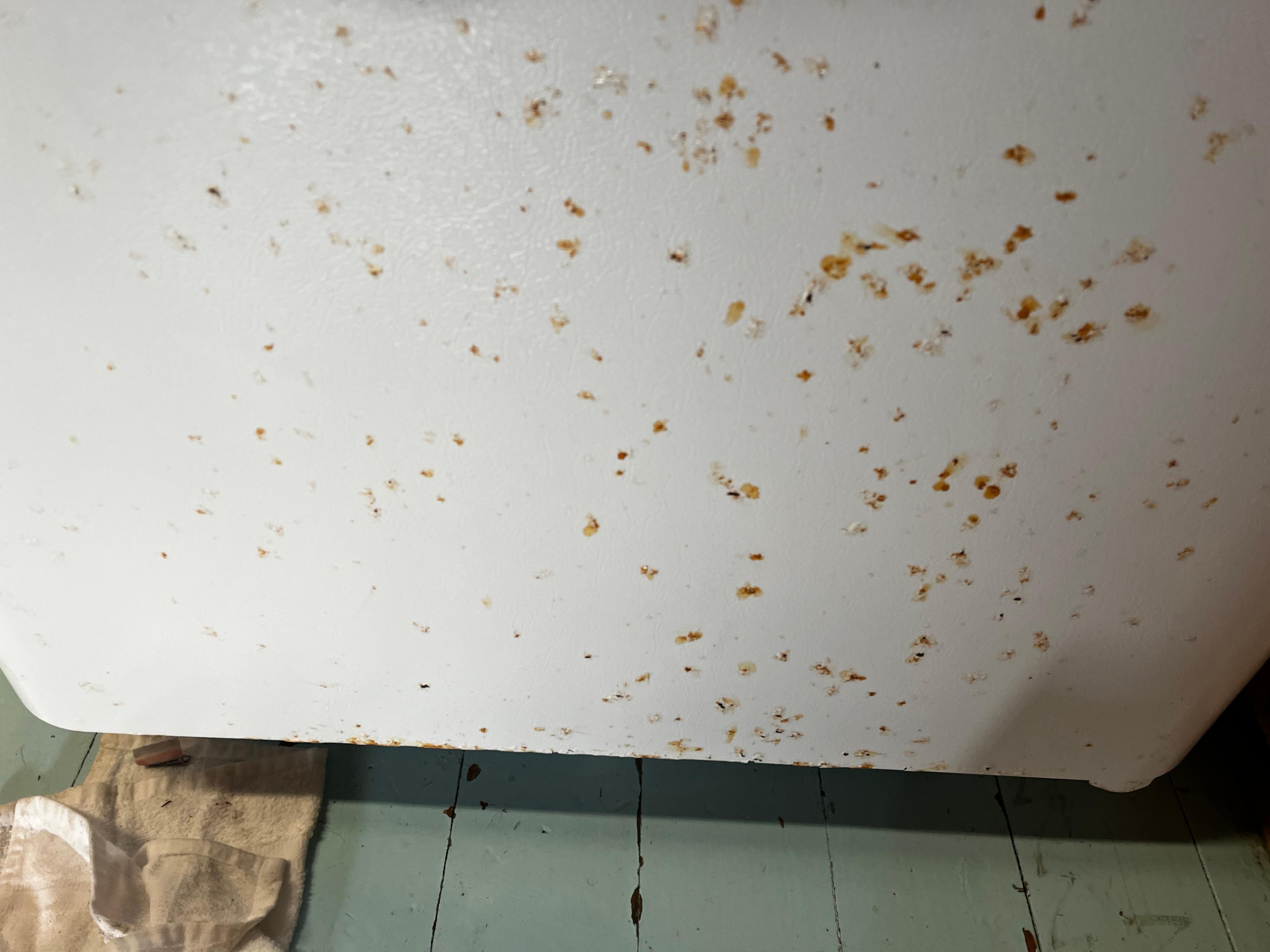 Intentionally splattered by previous guests?