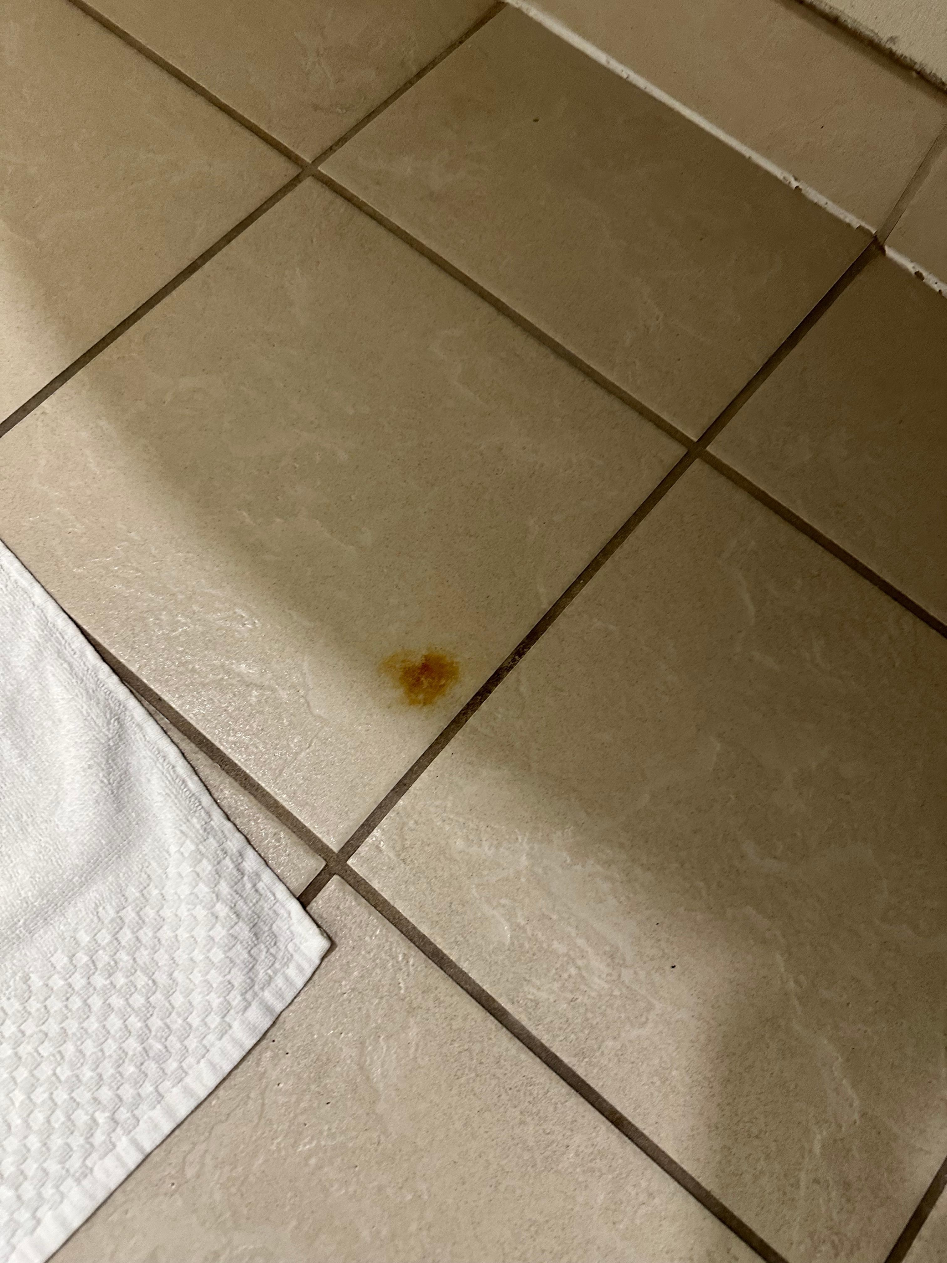 Looks like cigarette burn or something 