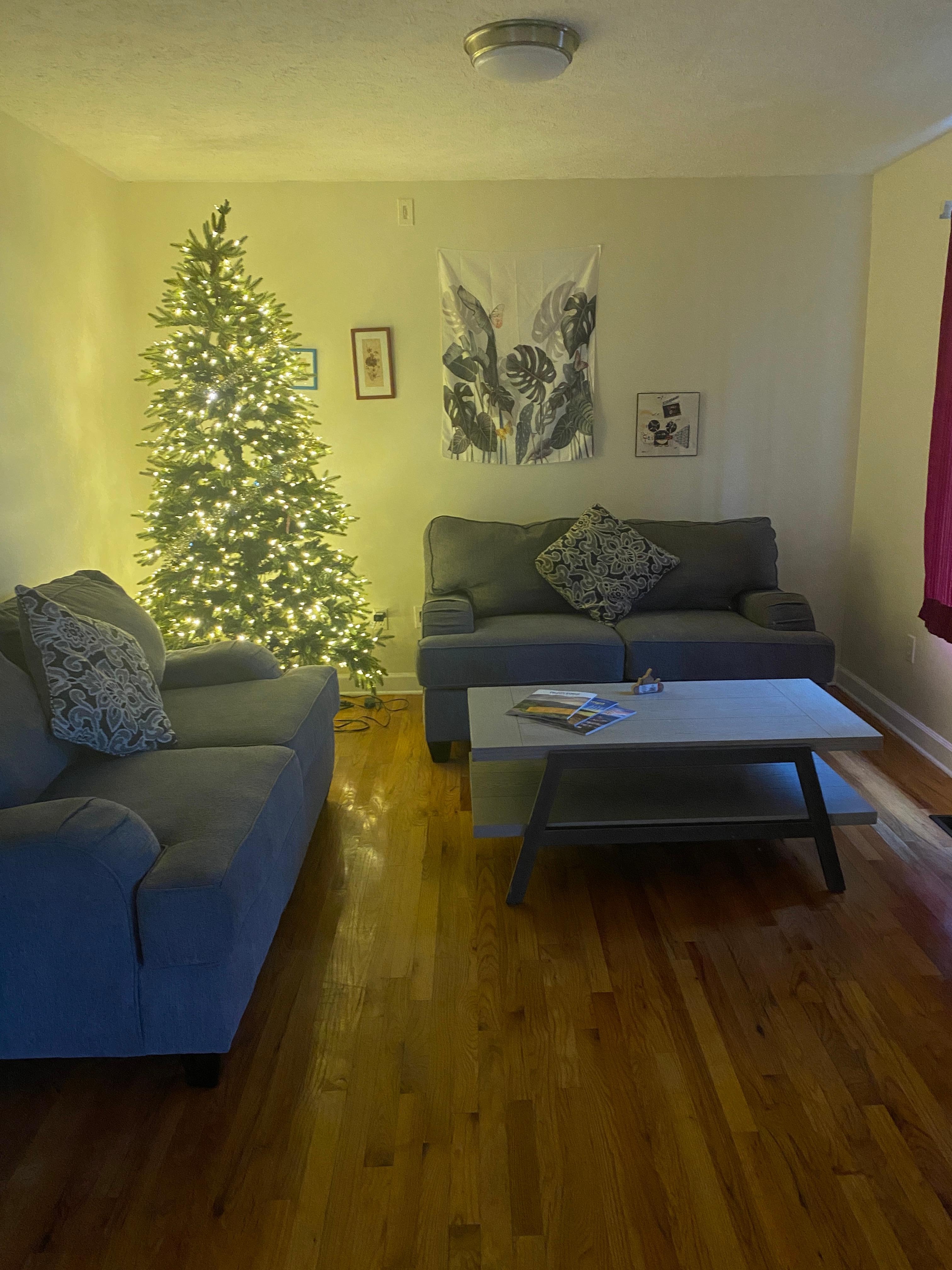 A Christmas tree was so nice. The little ones really enjoyed that.