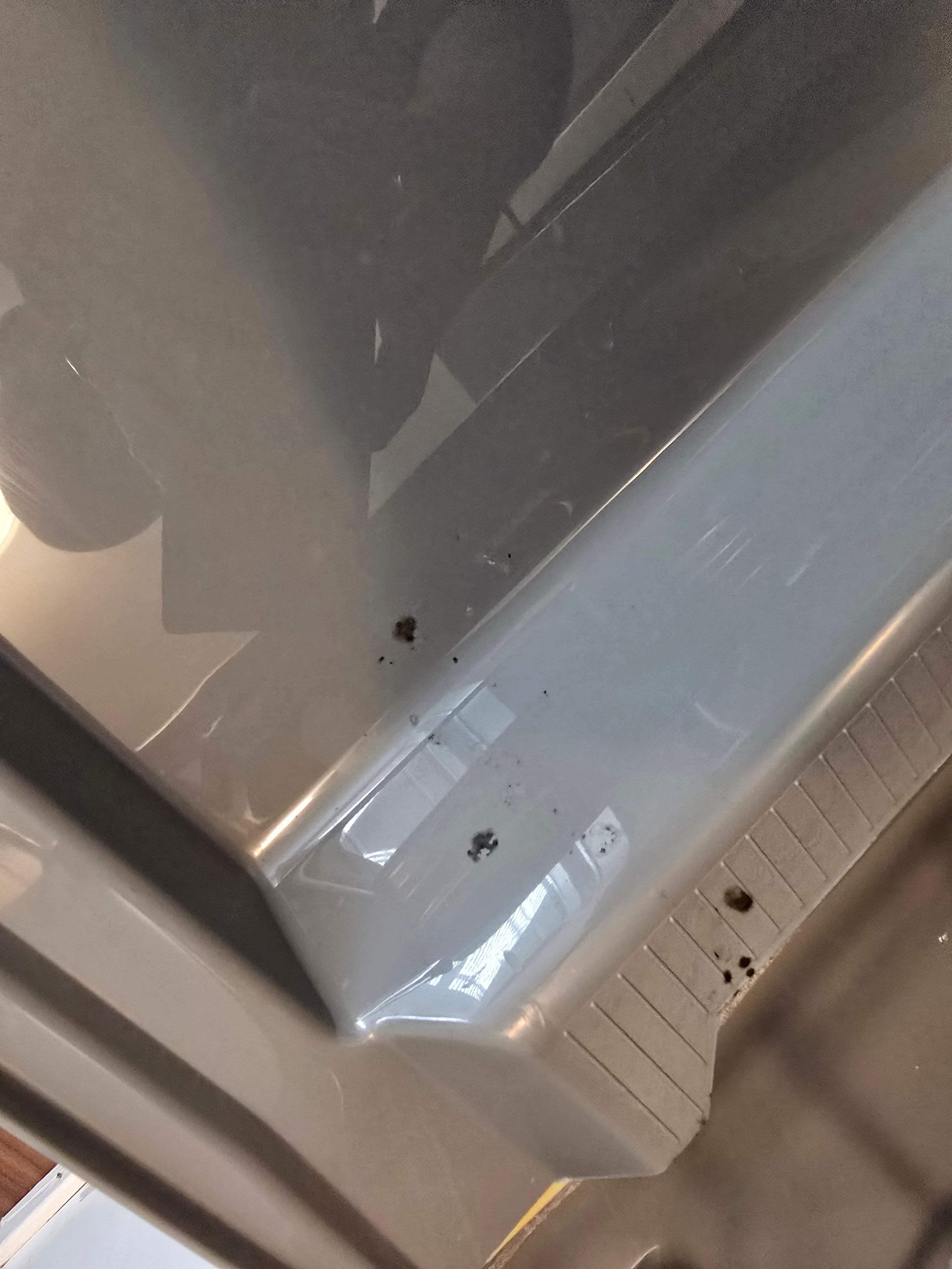 Black mold in the dishwasher