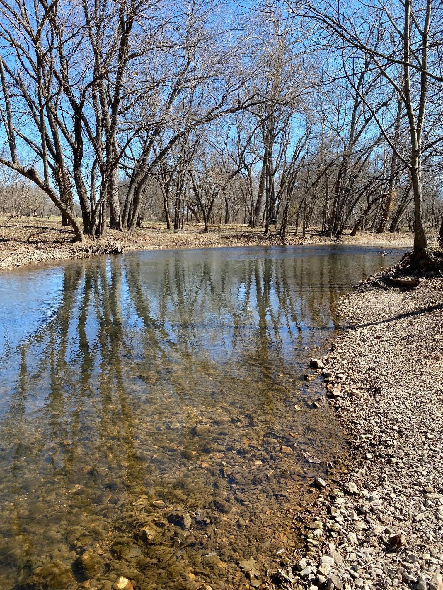 serene creekside
