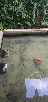 Fish area