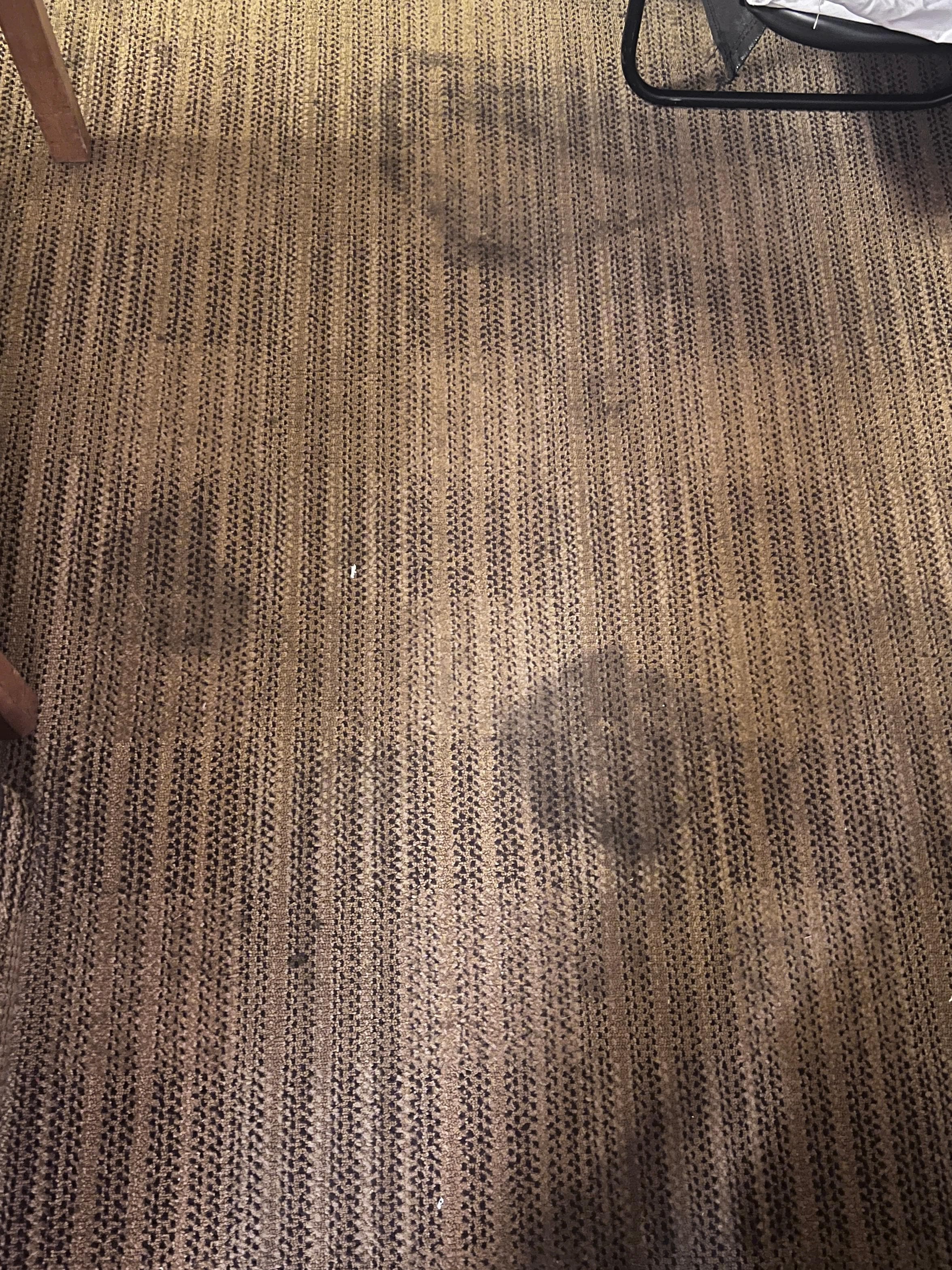 Dirt stains on carpet everywhere. 