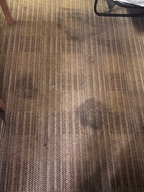 Dirt stains on carpet everywhere.