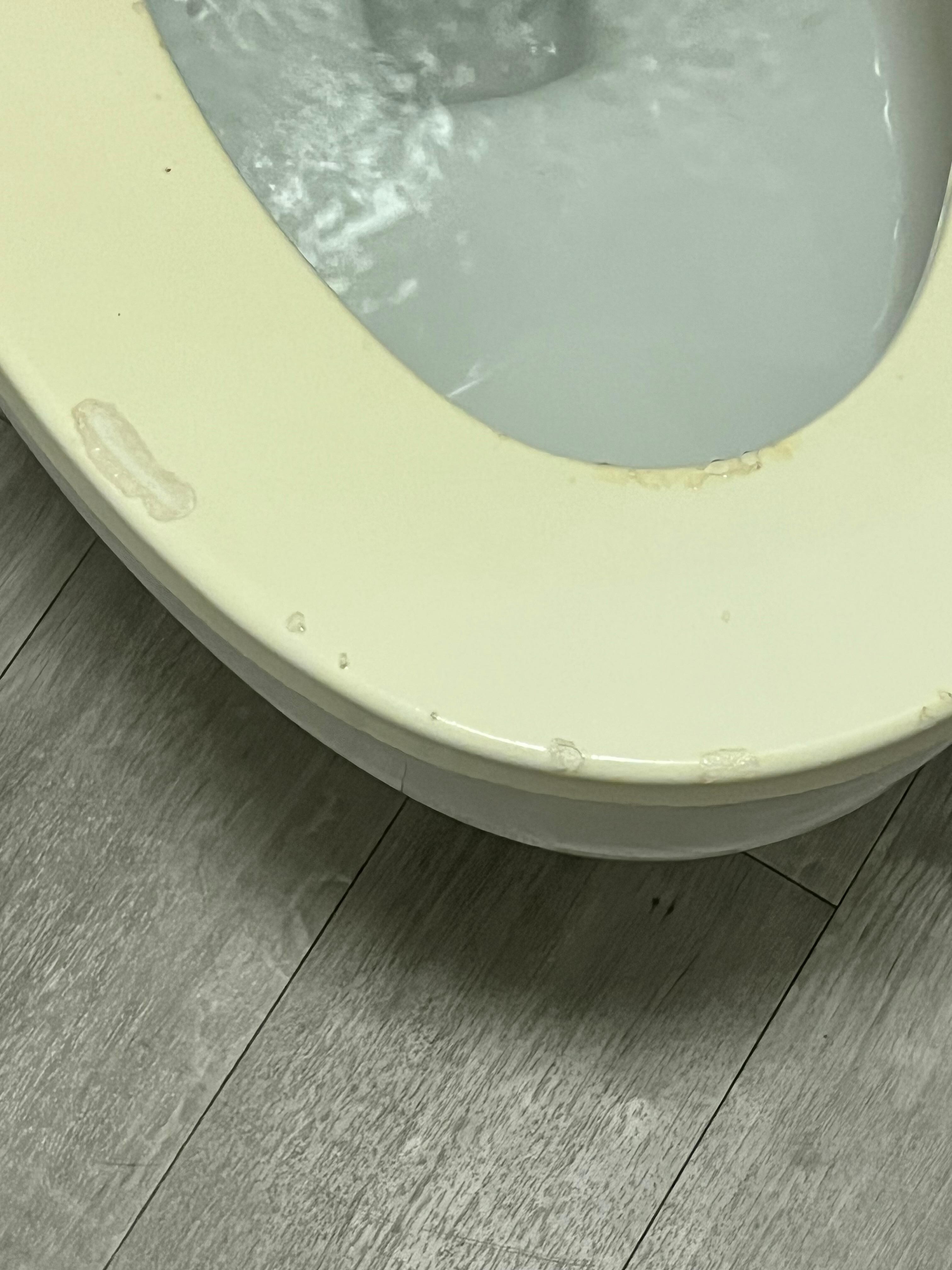 Toilet seat