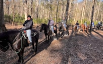 Cades Cove Stables