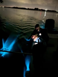 Bioluminescence Tour