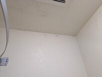 Mold/mildew in bathroom