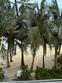 ocean view room- but it rally is a palm tree view