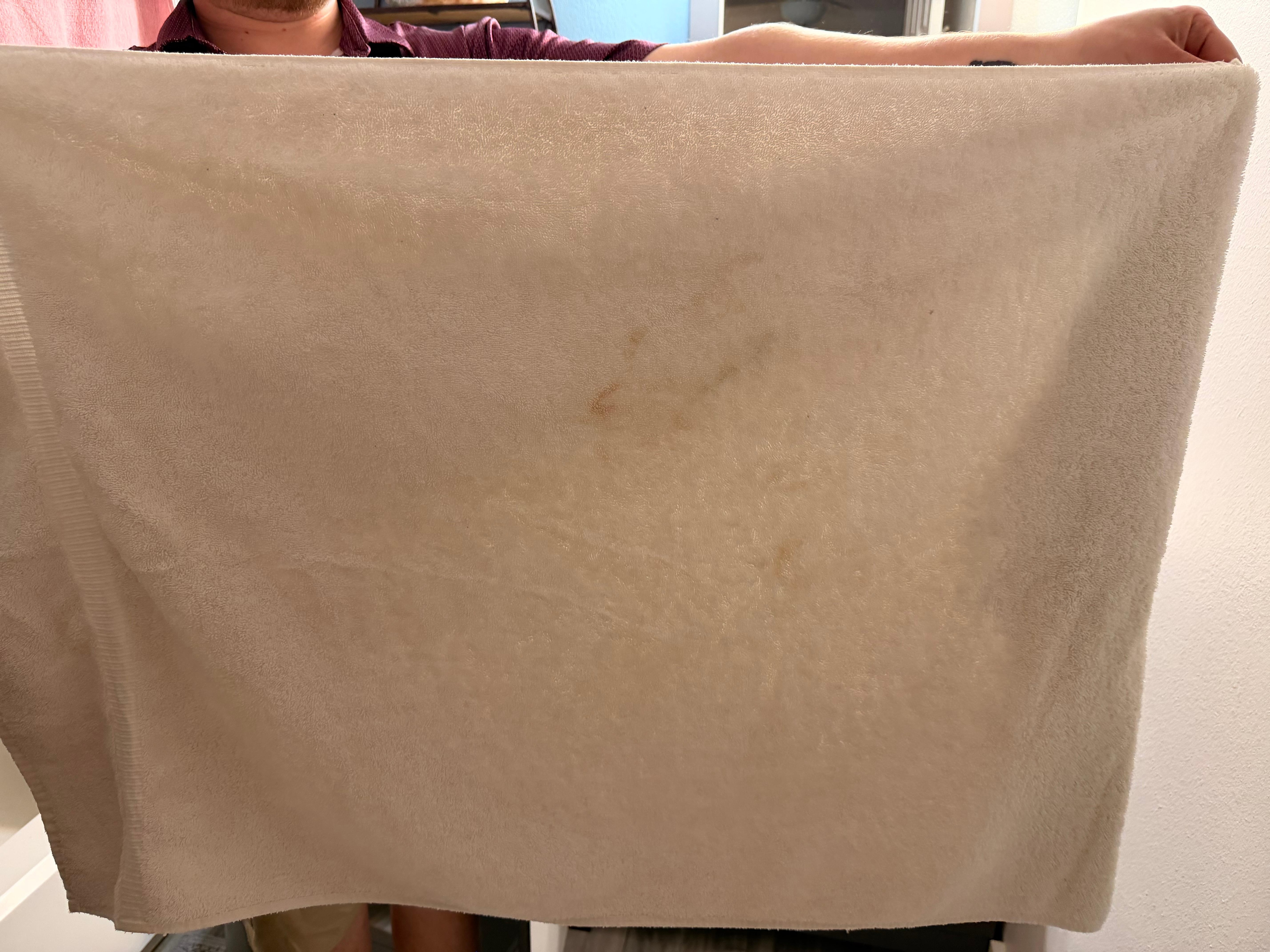 One of the stained white towels - which was denied to exist by the host because their "cleaner said so".
