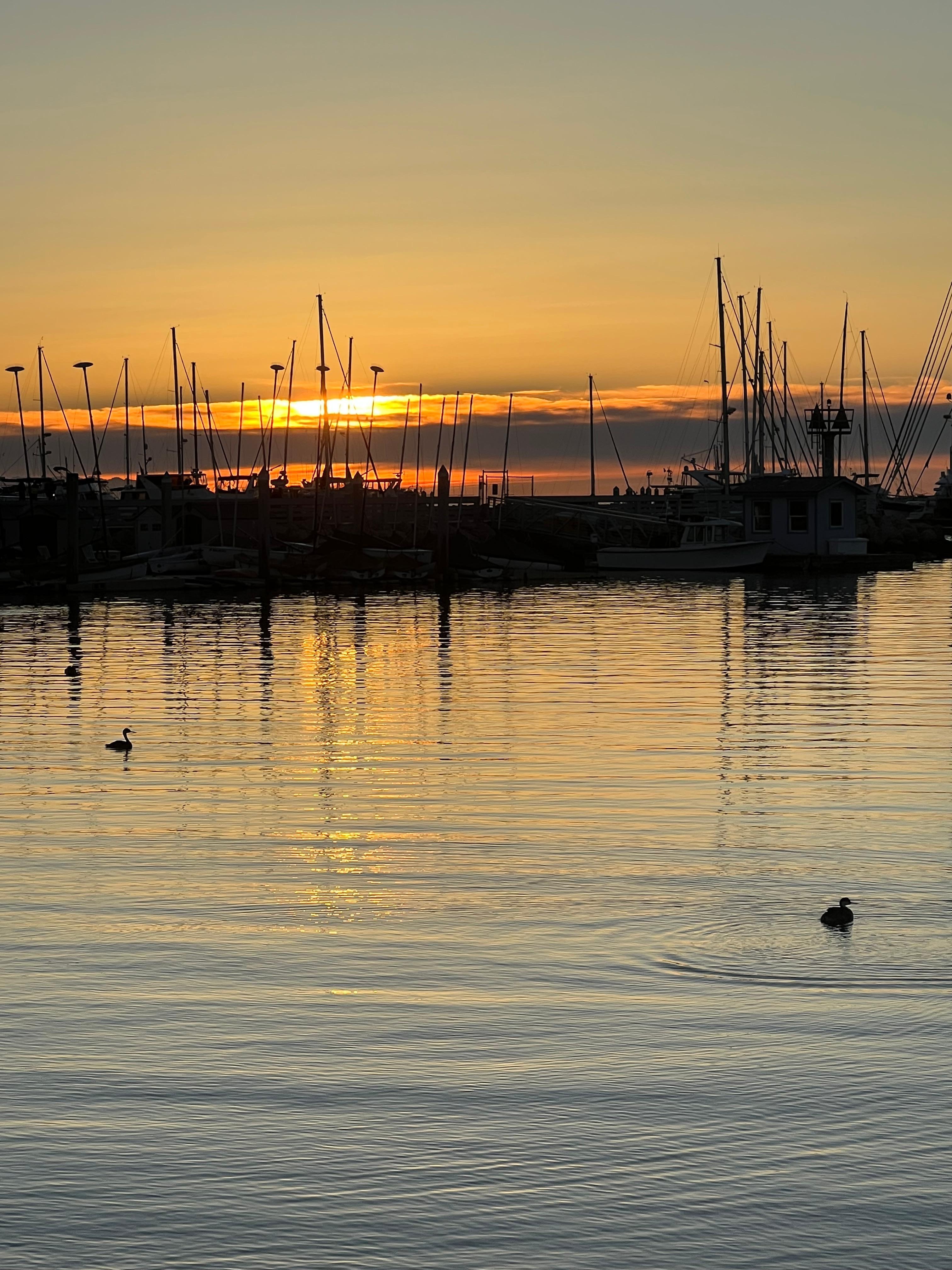 Sunrise on the harbor