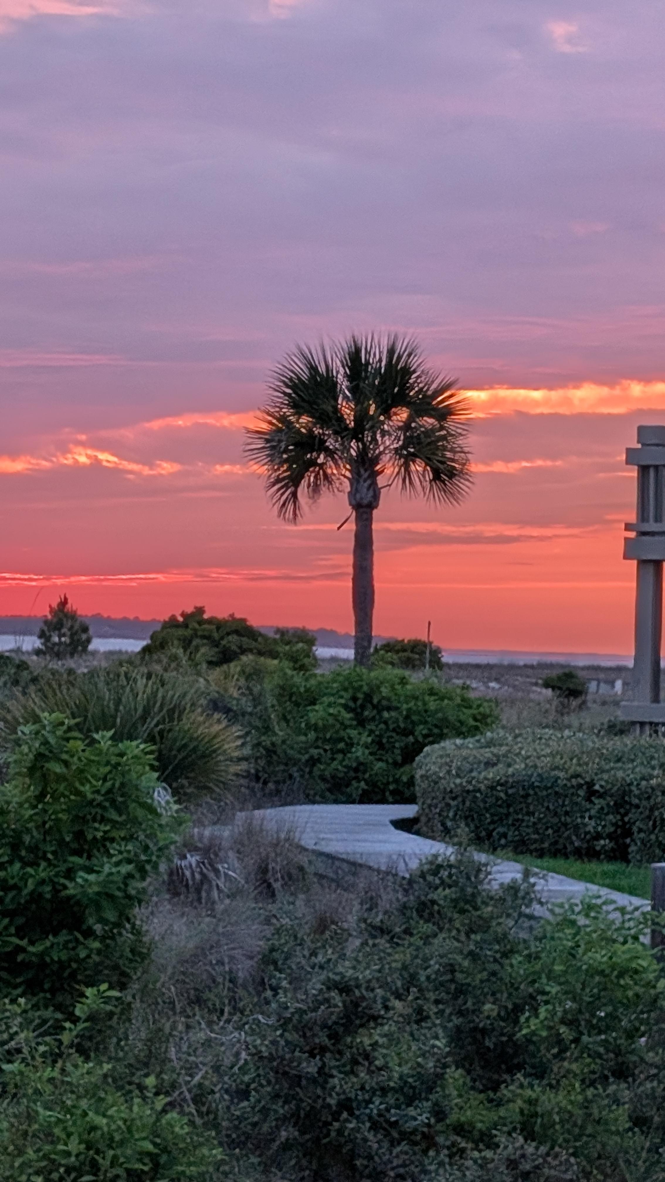 Beautiful Sunset